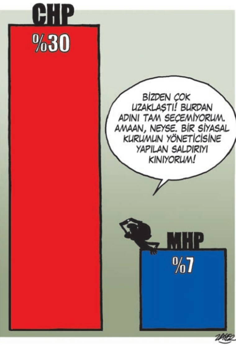 İğneli Fırça