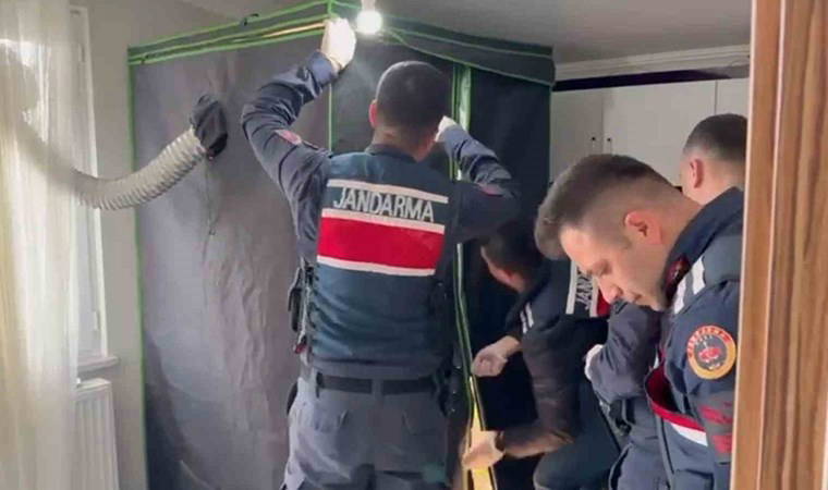 Ekipleri bile şaşırtan operasyon! Elbise dolabından 'uyuşturucu serası' çıktı: 4 tutuklama