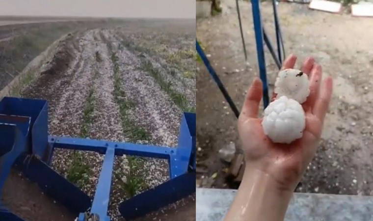 Adana'yı mayısta 'dolu' vurdu: Tarım arazileri zarar gördü