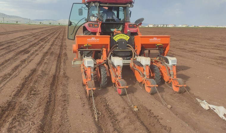 Araban Ovası'nda ekim başladı: 11 bin 350 dönüm alanda..