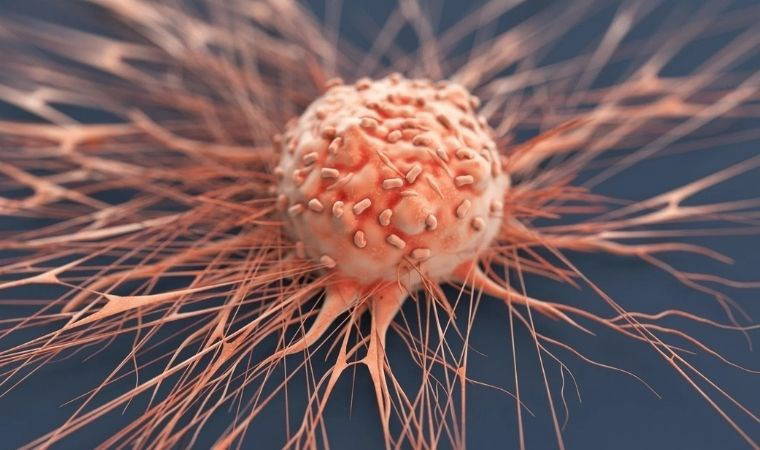 Yaşayan ilaçlar ve kişiye özel aşılar MIMIC 2025’te tanıtıldı