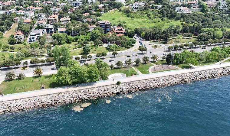 Tedirgin eden görüntü... Maltepe'de müsilaj görüldü!