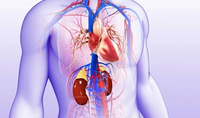 Kronik hastalıklarda sessiz katil: Kalp ve böbrek aynı anda hasar görüyor