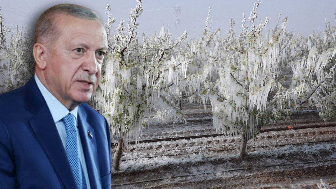Erdoğan'dan zirai don açıklaması