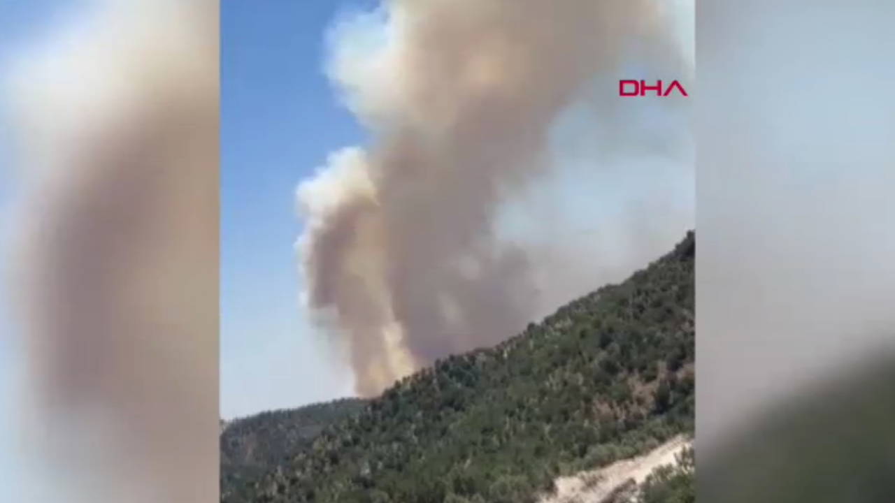 Gabar Dağı’nda orman yangını