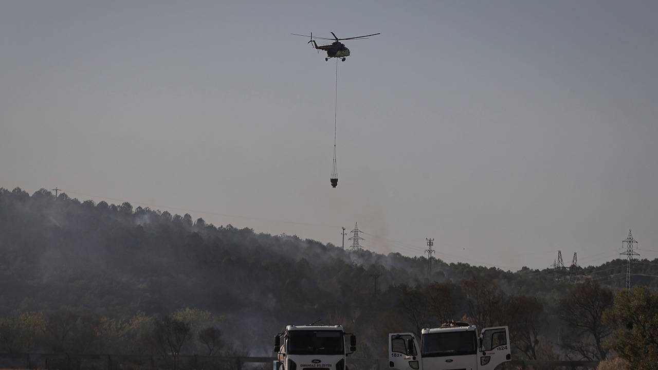 Bursa'da orman yangını: Havadan ve karadan müdahale edildi