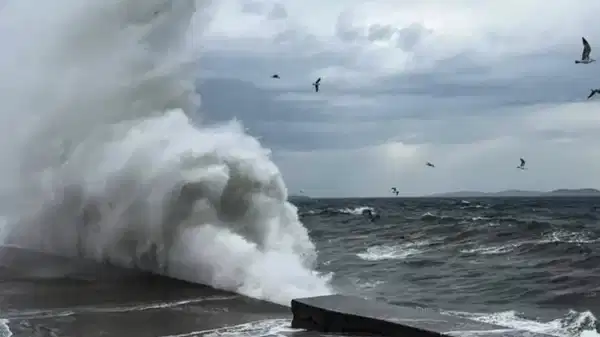 Kocaeli’de şiddetli fırtına hayatı felç etti: Tırlar devrildi, minare yıkıldı, çatılar uçtu