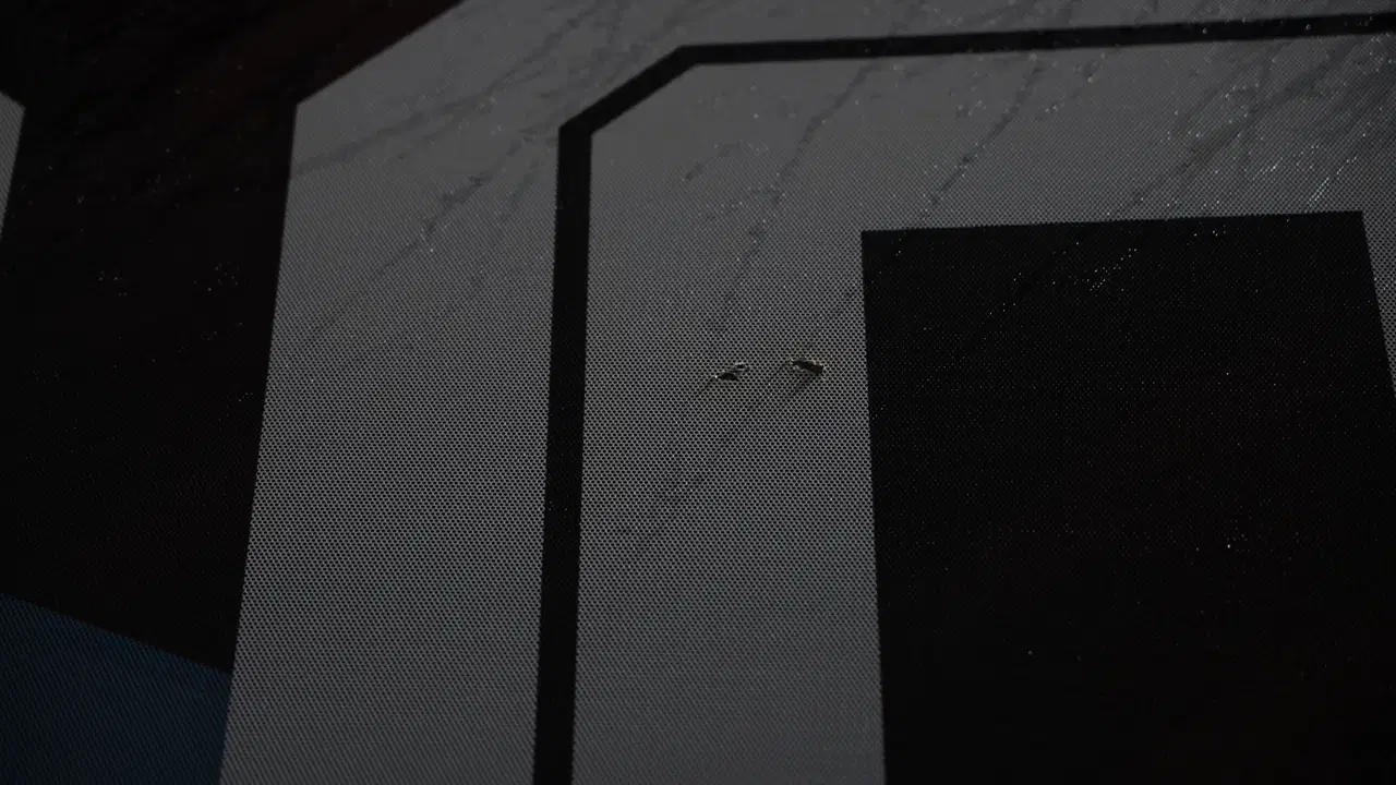 Samsunspor maçı öncesi... 