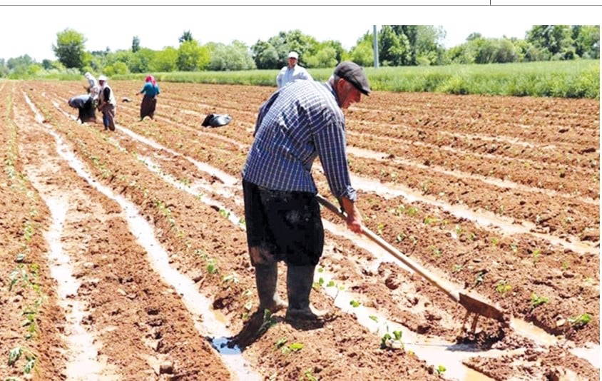 CHP’li Durmaz’dan iktidara zirai don çağrısı: ‘Gerçek rakamlarla güncelleyin’