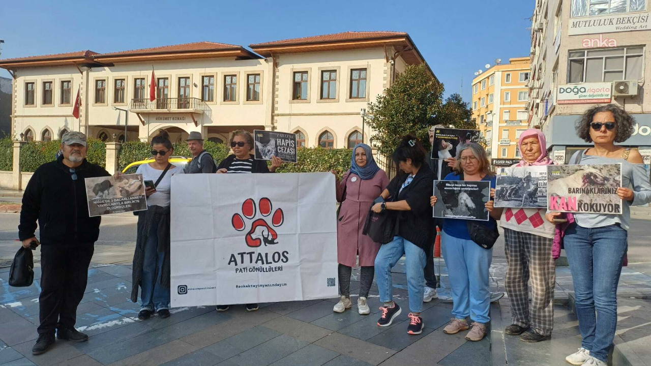 Antalyalı hayvanseverlerden İstanbul Valiliği'ne tepki