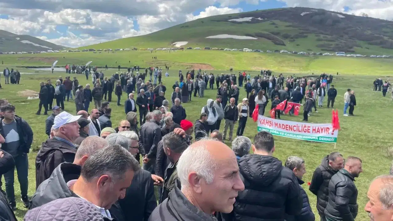 Barodan Perşembe Yaylası için yürütülen davaya ‘müdahil’ olmak için başvuru: 'Burası özel ekosisteme sahip'