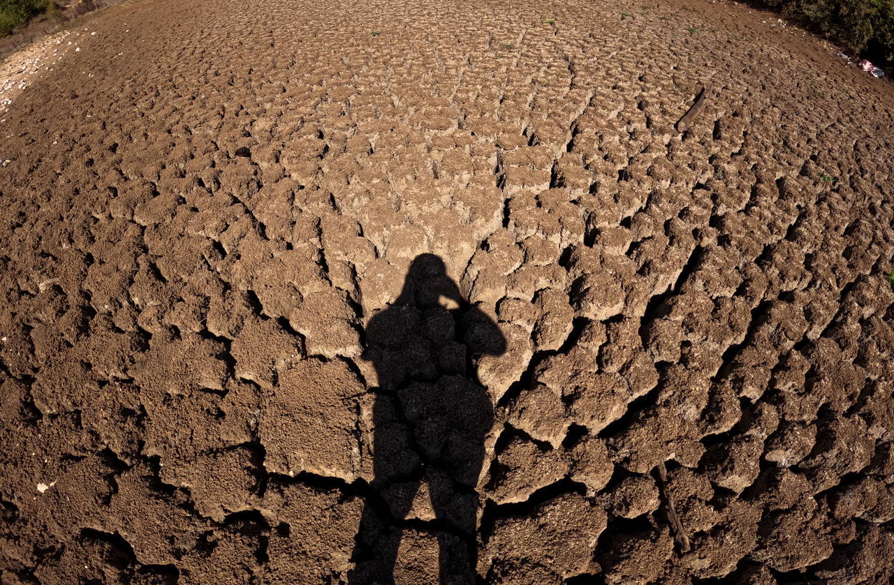 Taşlık Göleti'nde endişelendiren görüntü!
