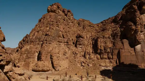 Çölün kalbinde sanat: Desert X AlUla