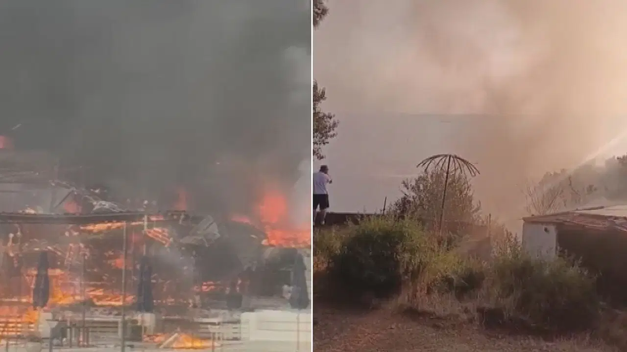 Son Dakika... Büyükada'daki plajda çıkan yangın ormana sıçradı: 4 kişi hastanelik oldu, yangın kontrol altında!