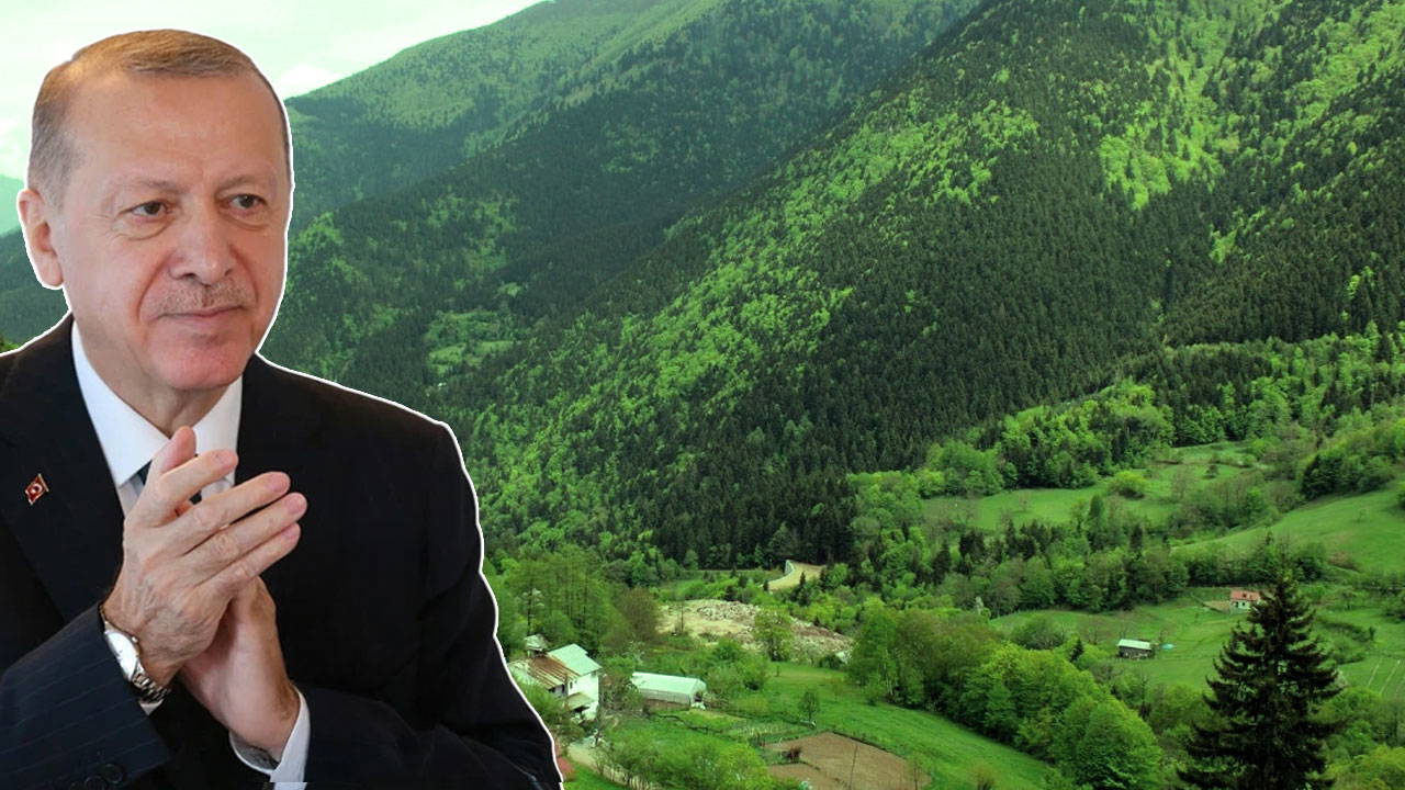 Danıştay'dan cumhurbaşkanlığının kararına iptal!