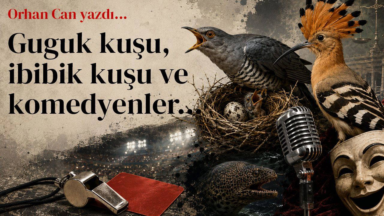 Guguk kuşu, ibibik kuşu ve komedyenler… 