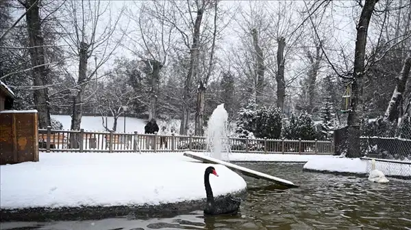 Valilikten açıklama: Ankara'da 'taşımalı eğitime' ara!