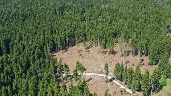 Resmi Gazete'de yayımlandı!