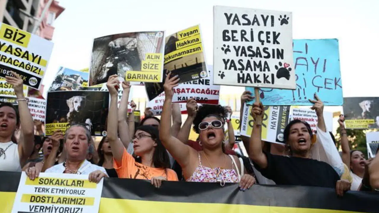 İstanbul Valiliği’nden ‘Katliam Yasası’ açıklaması: ‘Geri adım yok’