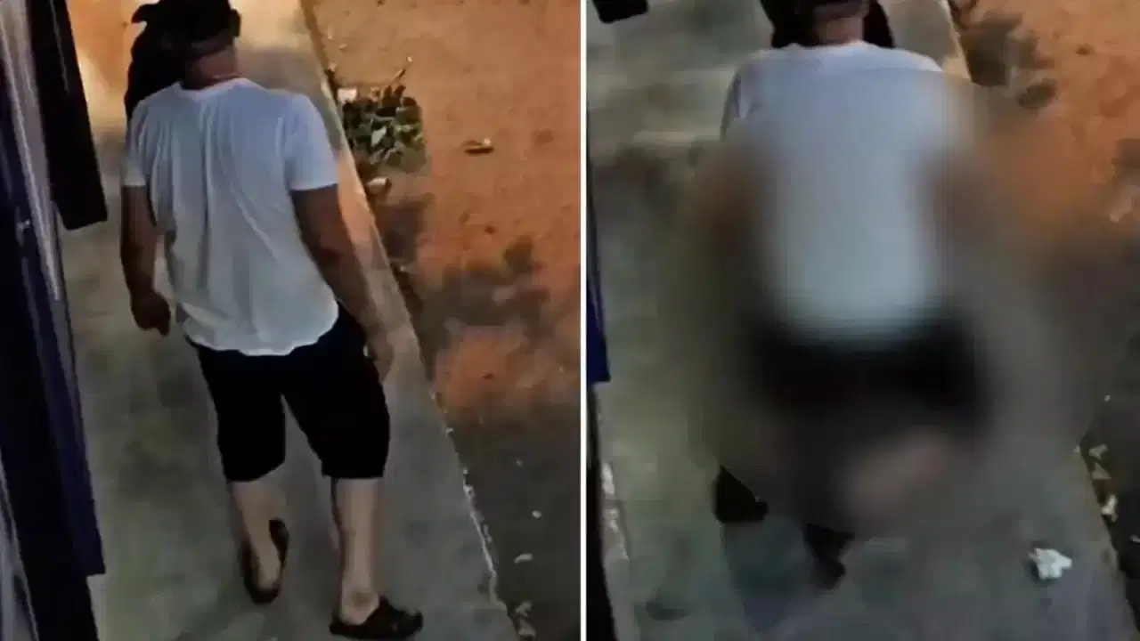 Köpeğe tecavüz etti, serbest kaldı