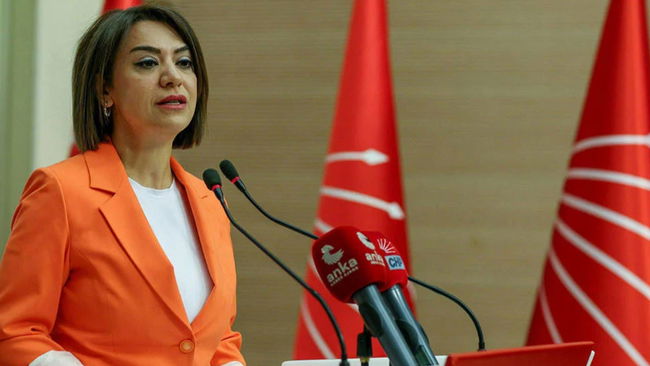 'Buradan suç çıkarılamaz'