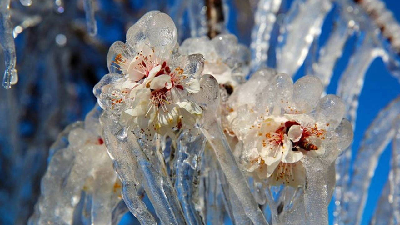 CHP'li Durmaz'dan zirai don için 'Bağ-Kur' teklifi 