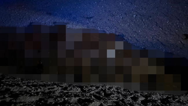 400 koyun hayatını kaybetti
