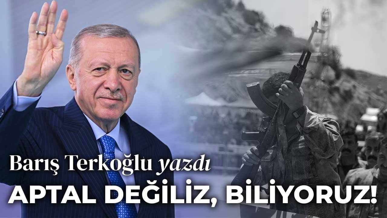 Domates, biber, patlıcan! 