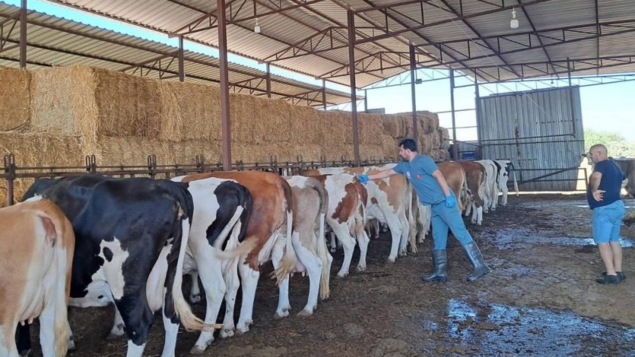 Aydın'ın o ilçesinde 14 mahalle karantinaya alındı