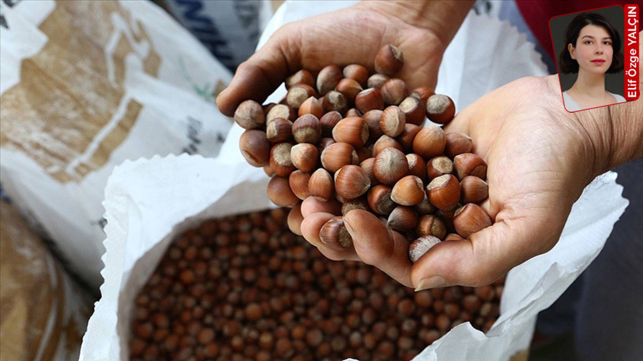 Ferrero’nun gücü üreticiyi vurdu, devlet seyirci kaldı