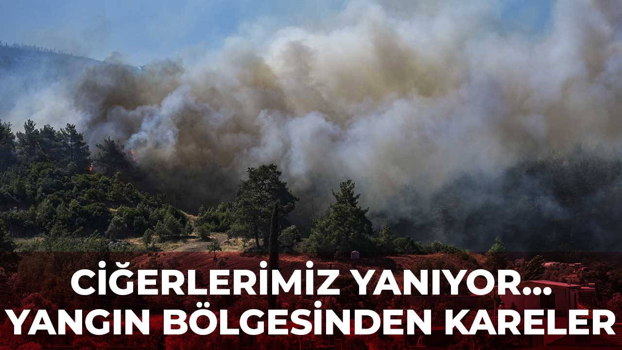 Son Dakika... Orman yangınlarındaki son durumu Bakan İbrahim Yumaklı açıkladı