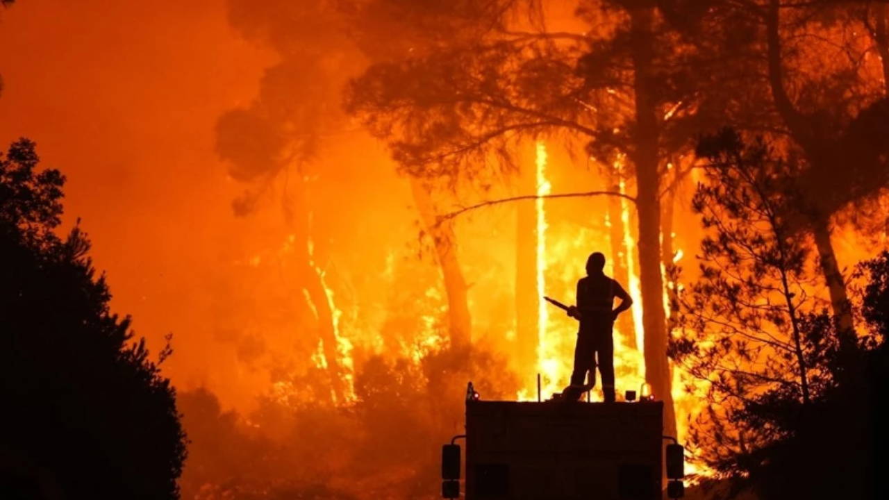 Çeşme'deki yangın kontrol altına alındı