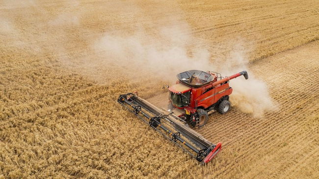 Hürmüz Boğazı’nda 'gübre' krizi