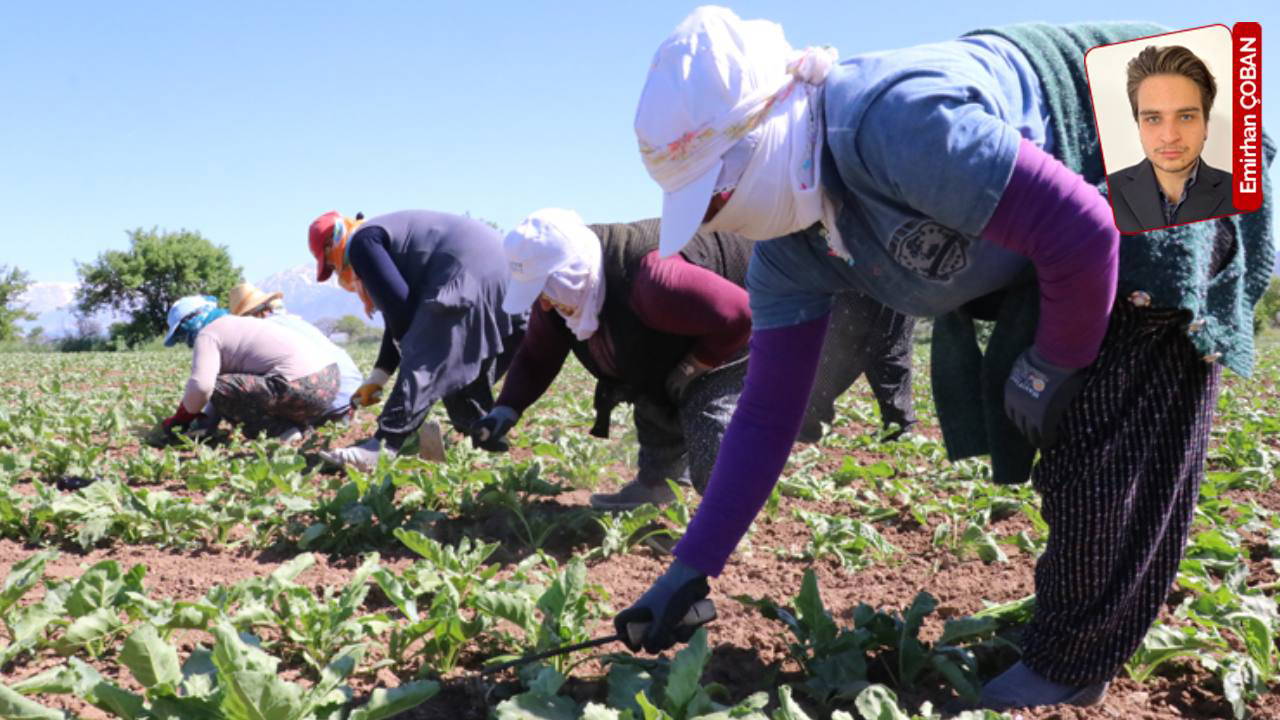 Toprağa emek, üretime nefes!