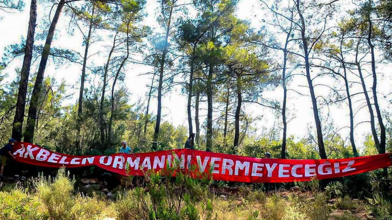 Akbelen'deki kıyımın arkasından AKP'li isim çıktı!