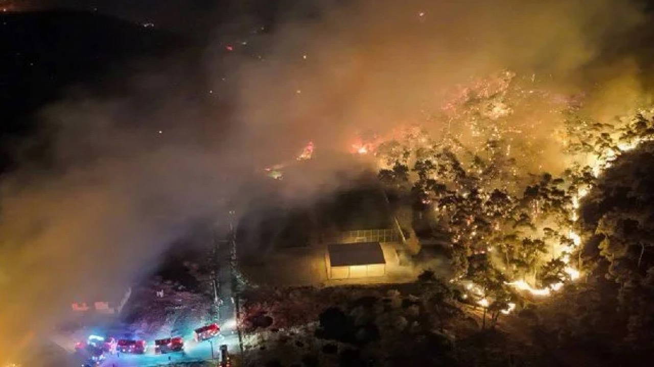 Aliağa’daki orman yangıyla ilgili 1 kişi tutuklandı