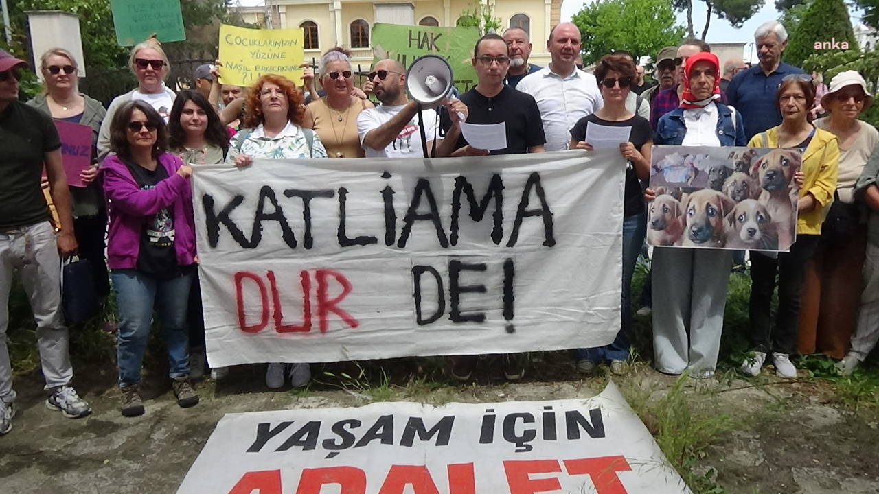 Edirne’de yaşam savunucularından sokak hayvanları için eylem