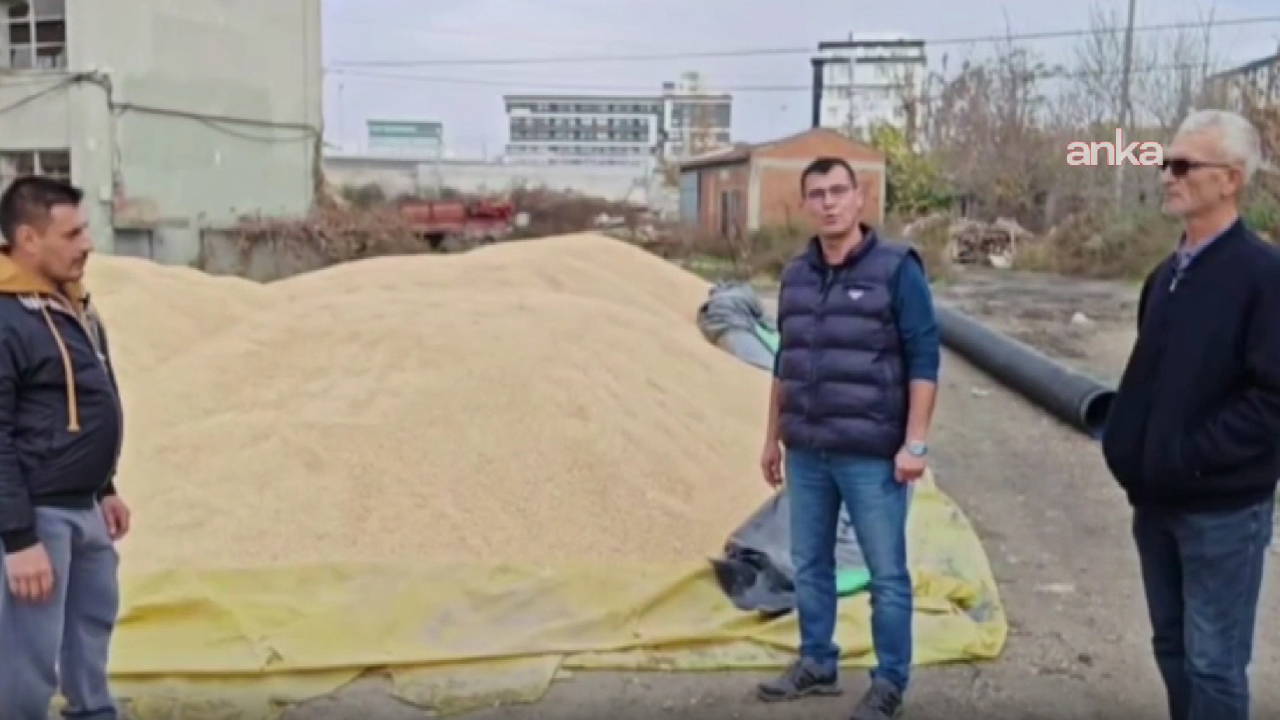 CHP’li Akgüngör’den TMO’ya çeltik alım fiyatı tepkisi: 'Çiftçimizi desteklersek bu ülke var olur'