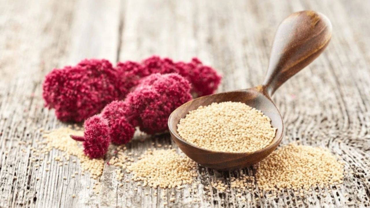Azteklerden günümüze uzanan mucize şifa: Amarant nedir, faydaları nelerdir?