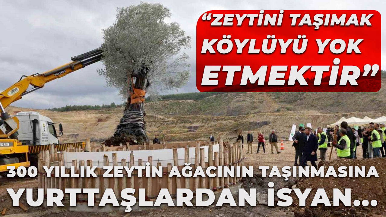 'Zeytini taşımak köylüyü yok etmektir!'