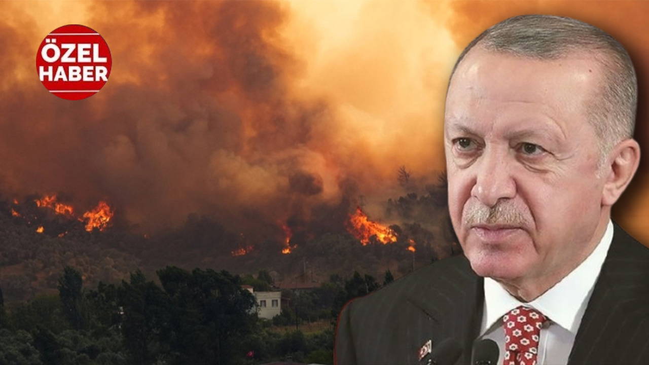 Ormana değil Saray'a bütçe!