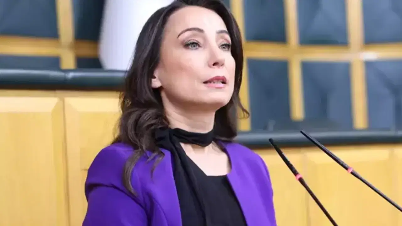 DEM Parti'den Ahmet Özer'e verilen hapis cezasına tepki