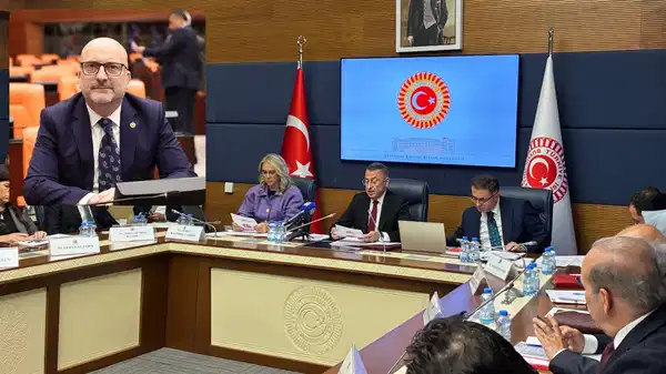 'Yatırımı Türkiye yaptı, kaymağını Çin yedi'