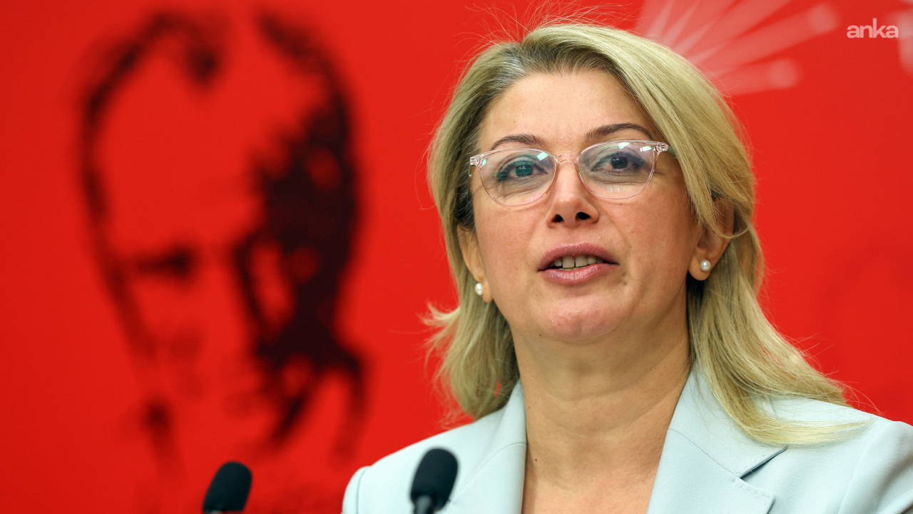 CHP Kadın Kolları Genel Başkanı Asu Kaya kimdir? Asu Kaya kaç yaşında, nereli?