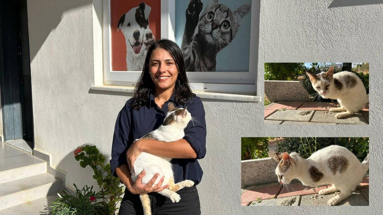 Gazipaşa Belediyesi Veteriner İşleri Birimi minik kediye yaşam oldu