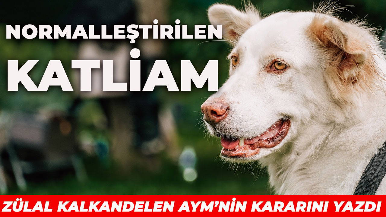 AYM, bilimsel gerçekleri reddetti!