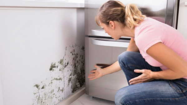 Sağlığı tehdit eden küf ve rutubet sorunu: Evinizdeki yüksek nem belirtileri ve çözüm yolları