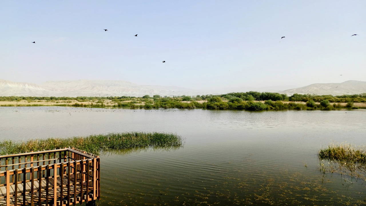 Nallıhan Kuş Cenneti fotoğraf avcılarını bekliyor