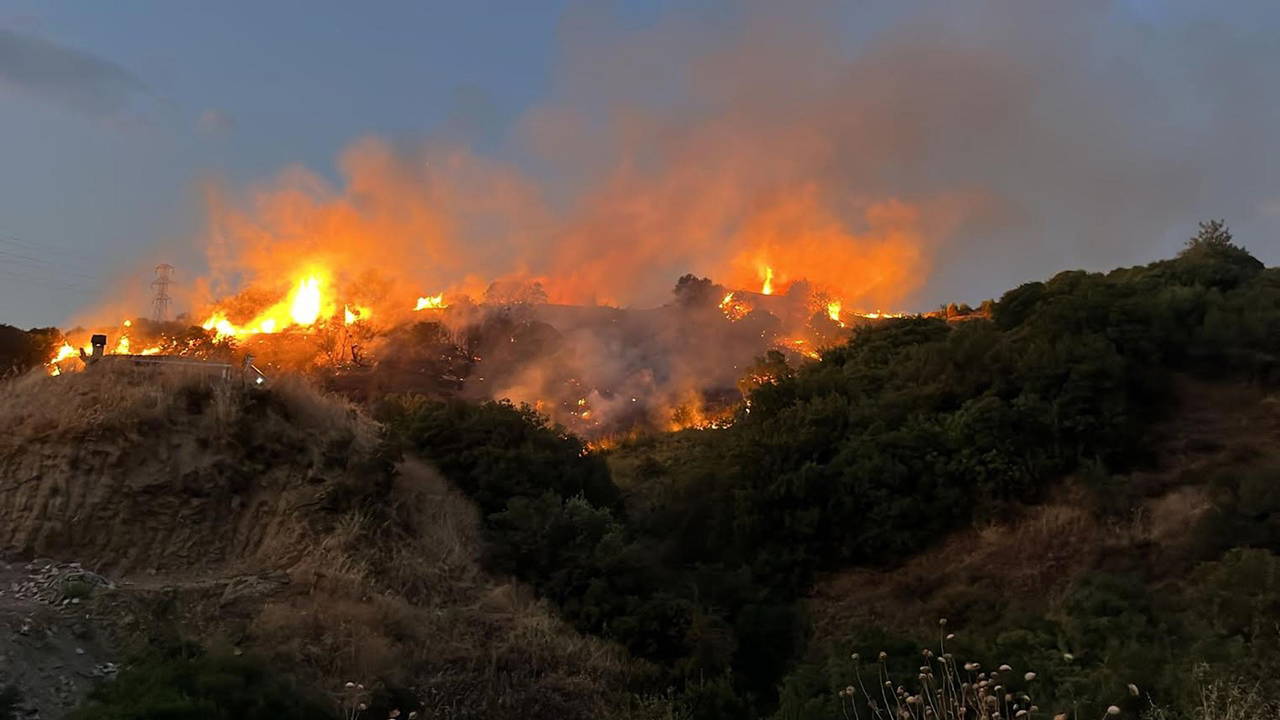 Manisa'daki orman yangını neden çıktı?