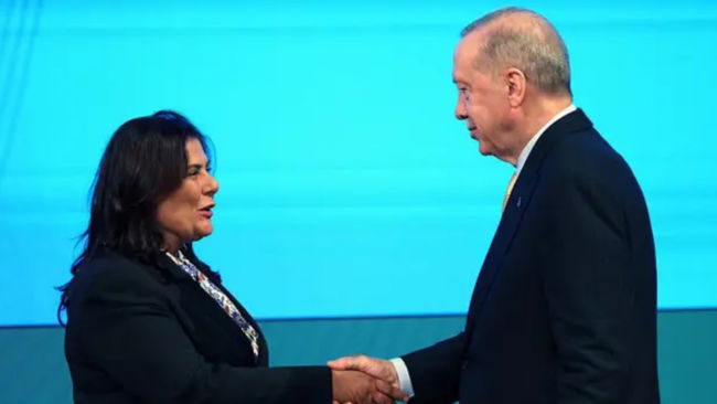 Özdemir İnce yazdı...